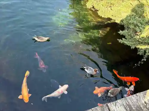 西林寺奥の院(杖の淵)の周辺