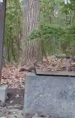 相馬神社(北海道)