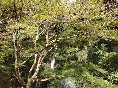 開運福徳辨財天神社(兵庫県)