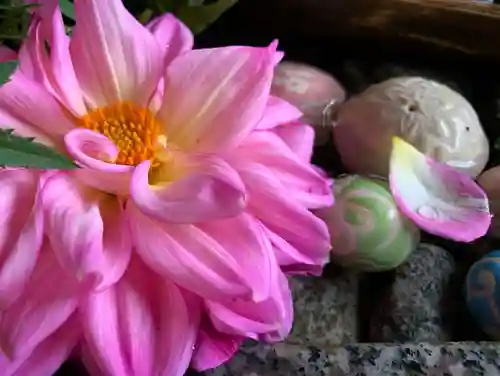 滑川神社 - 仕事と子どもの守り神の手水