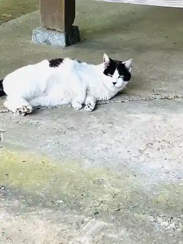 鎌数伊勢大神宮(千葉県)