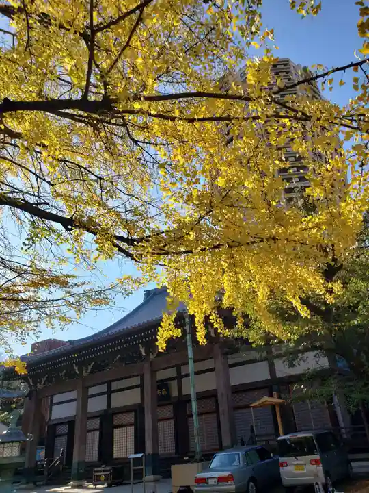 善福寺(東京都)