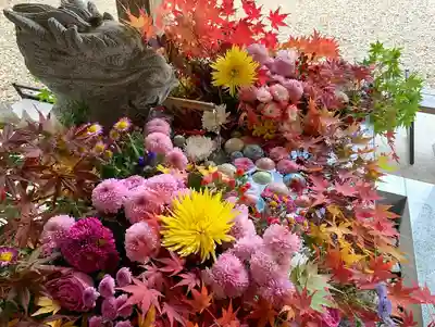 滑川神社 - 仕事と子どもの守り神の手水舎
