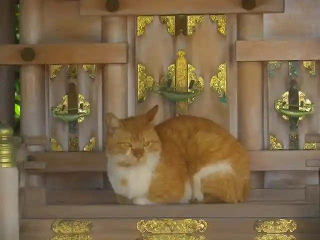 御霊神社の動物