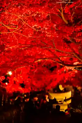 大山寺(神奈川県)