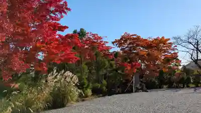 源光庵(京都府)