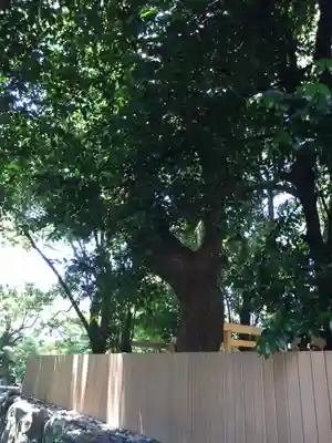 御食神社(豊受大神宮摂社)の自然