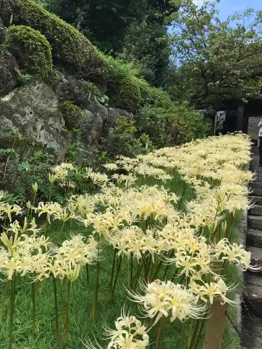 横浜 西方寺(神奈川県)