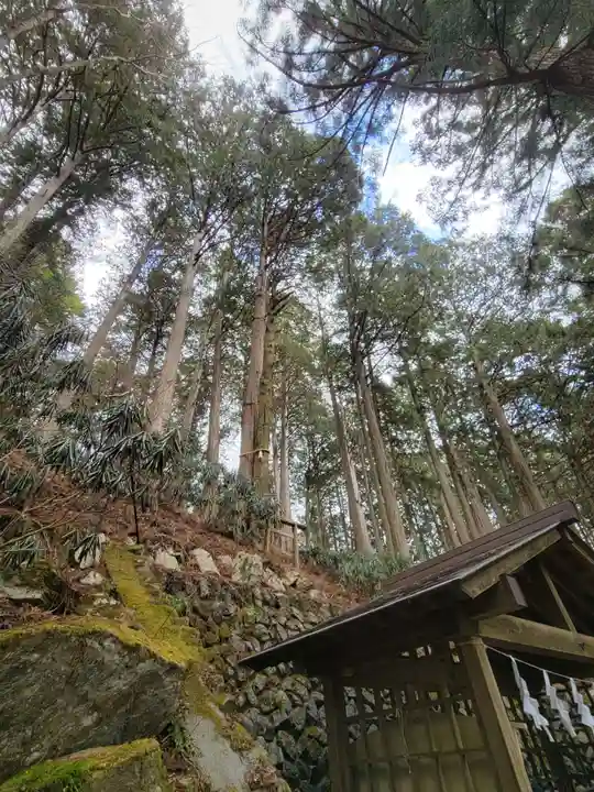 三峯神社(埼玉県)