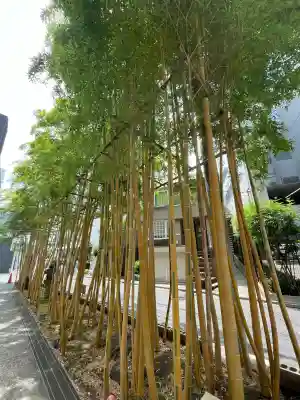 青山熊野神社(東京都)