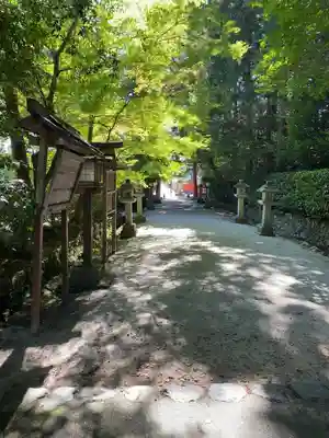 大田神社（賀茂別雷神社境外摂社）(京都府)