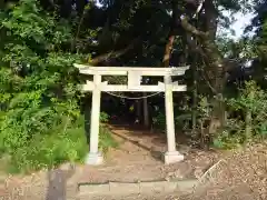 水神宮の鳥居