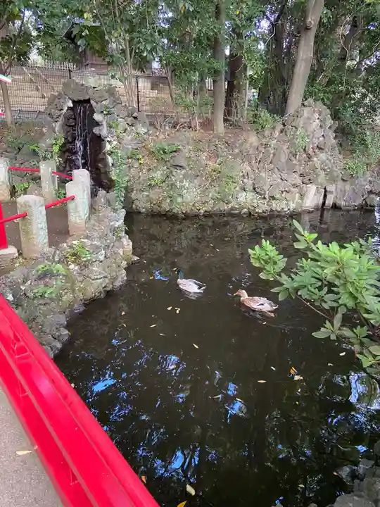 世田谷八幡宮の庭園