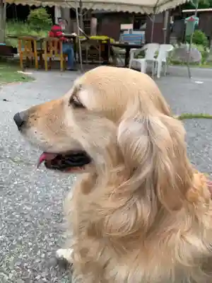 鳳仙寺の動物