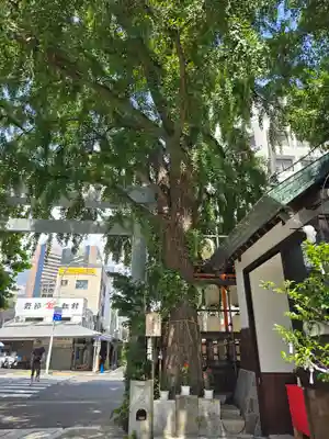 波除神社（波除稲荷神社）(東京都)