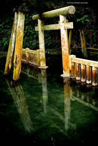 奥宮(鹿島神宮摂社)(茨城県)