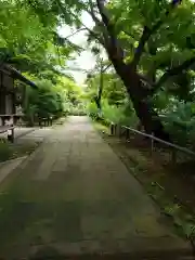 源光寺（回向院市川別院）の庭園