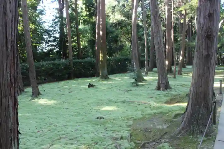 唐招提寺の自然