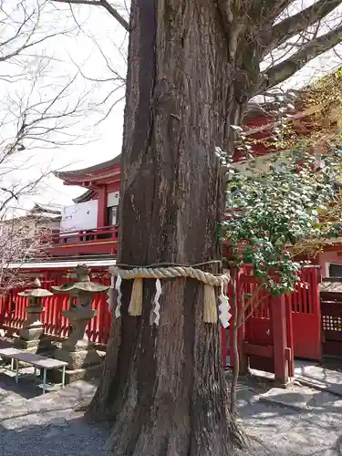 秩父神社の自然