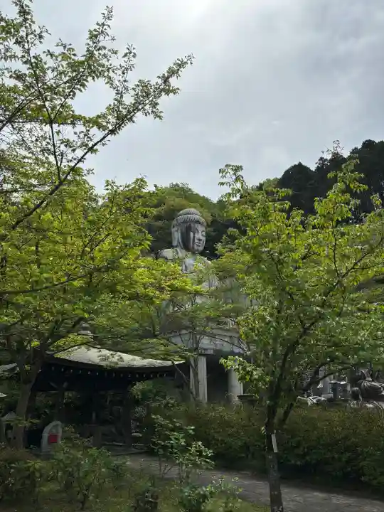 南法華寺(壷阪寺)の{uncategorized: "未分類", other: "その他", undefined: "問題あり", building: "その他建物", grave: "お墓", sacred_gate: "鳥居", guardian: "狛犬", statue: "像", buddha: "仏像", history: "歴史", nature: "自然", garden: "庭園", animal: "動物", pagoda: "塔", temizu: "手水舎", mountain_gate: "山門・神門", sanctuary: "本殿・本堂", subordinate: "末社・摂社", art: "芸術", scenery: "景色", jizo: "地蔵", ema: "絵馬", goshuin: "御朱印", omikuji: "おみくじ", items: "授与品その他", amulet: "お守り", goshuincho: "御朱印帳", eats: "食事", festival: "お祭り", votive_dance: "神楽", shichigosan: "七五三参", wedding: "結婚式", experience: "体験その他", initially: "初詣", around: "周辺", anti_infection: "感染症対策"}