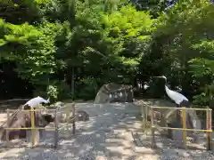 石見国一宮　物部神社(島根県)