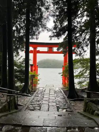 箱根神社の鳥居