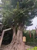 鎮護堂(東京都)