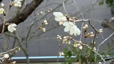 元興寺(奈良県)