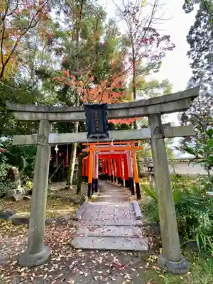 御霊神社(上御霊神社)の鳥居