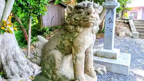 高宮神社の狛犬