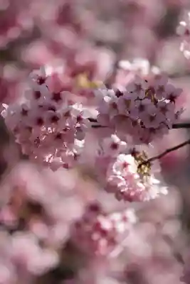 蔵前神社(東京都)