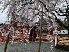 富士山本宮浅間大社(静岡県)