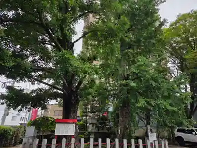久留米宗社　日吉神社(福岡県)