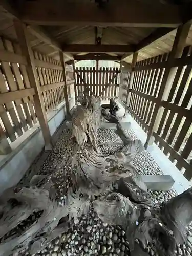 自凝島神社(兵庫県)
