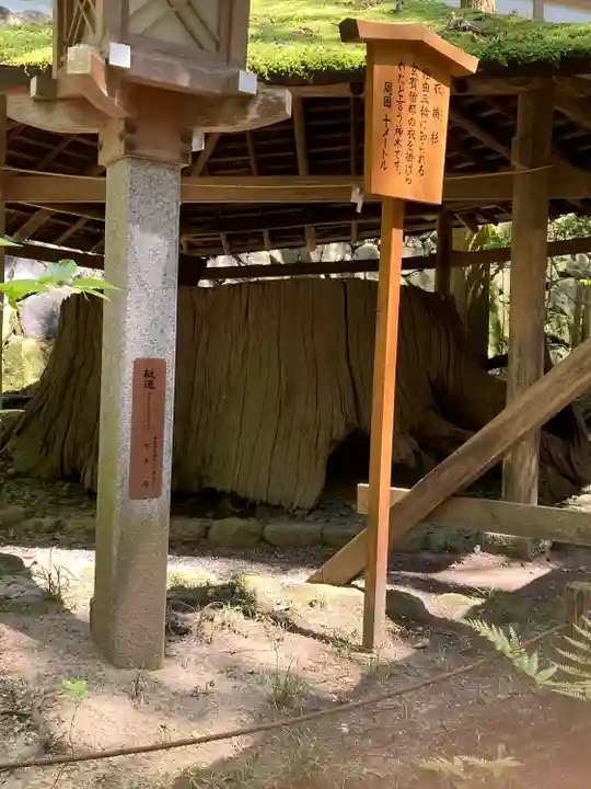大神神社(奈良県)