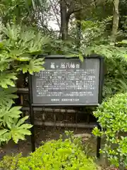 亀ケ池八幡宮の歴史