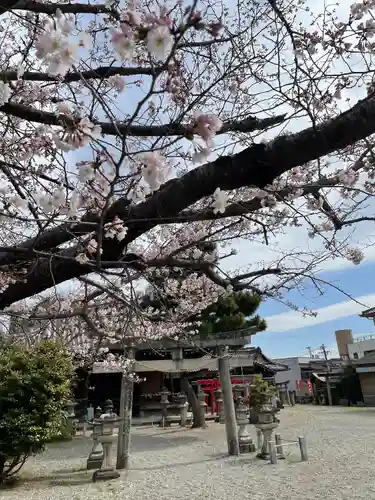 八雲神社の鳥居