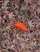 蚊里田八幡宮(長野県)