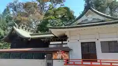 白岡八幡神社(埼玉県)