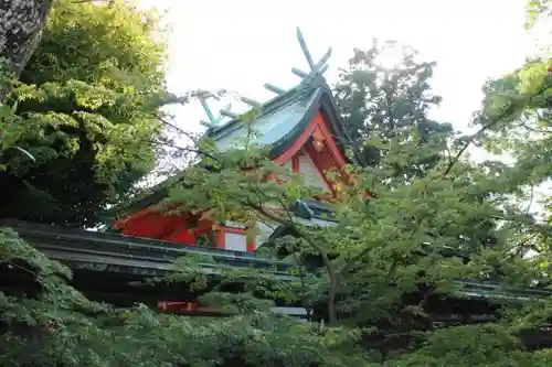 蟻通神社の自然