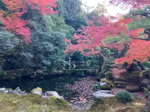 知恩院(京都府)