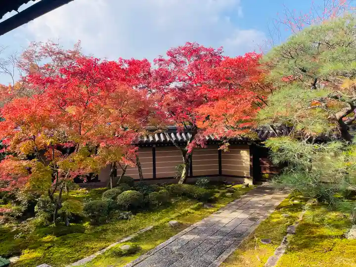 禅林寺(永観堂)(京都府)