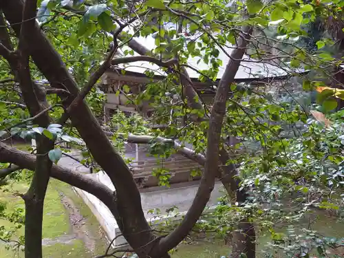 彌彦神社の自然