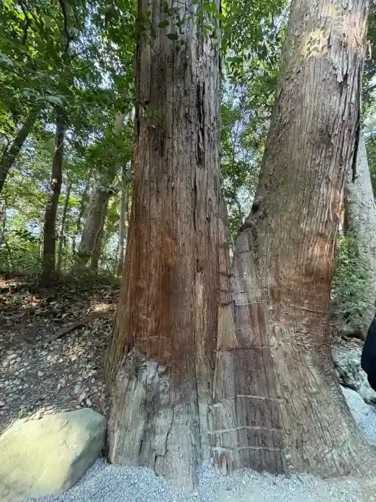 伊勢神宮外宮(豊受大神宮)の{uncategorized: "未分類", other: "その他", undefined: "問題あり", building: "その他建物", grave: "お墓", sacred_gate: "鳥居", guardian: "狛犬", statue: "像", buddha: "仏像", history: "歴史", nature: "自然", garden: "庭園", animal: "動物", pagoda: "塔", temizu: "手水舎", mountain_gate: "山門・神門", sanctuary: "本殿・本堂", subordinate: "末社・摂社", art: "芸術", scenery: "景色", jizo: "地蔵", ema: "絵馬", goshuin: "御朱印", omikuji: "おみくじ", items: "授与品その他", amulet: "お守り", goshuincho: "御朱印帳", eats: "食事", festival: "お祭り", votive_dance: "神楽", shichigosan: "七五三参", wedding: "結婚式", experience: "体験その他", initially: "初詣", around: "周辺", anti_infection: "感染症対策"}