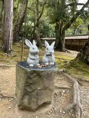 出雲大社(島根県)