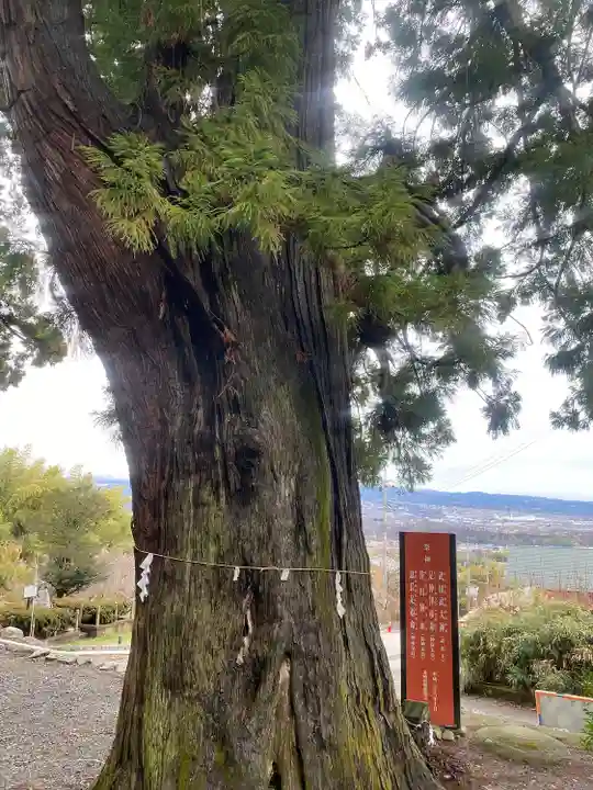 武田八幡宮(山梨県)
