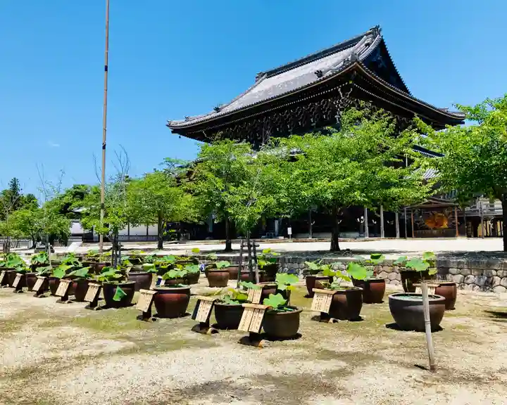 本山専修寺のその他建物