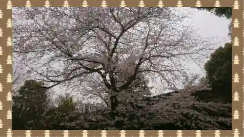 阿佐ヶ谷神明宮(東京都)