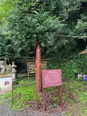 天照皇大神社(静岡県)