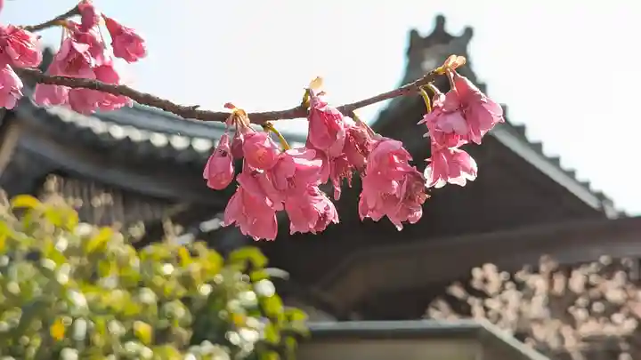後白河院御聖蹟 法住寺(京都府)